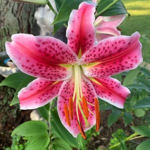 Meet your Posher, Mayra